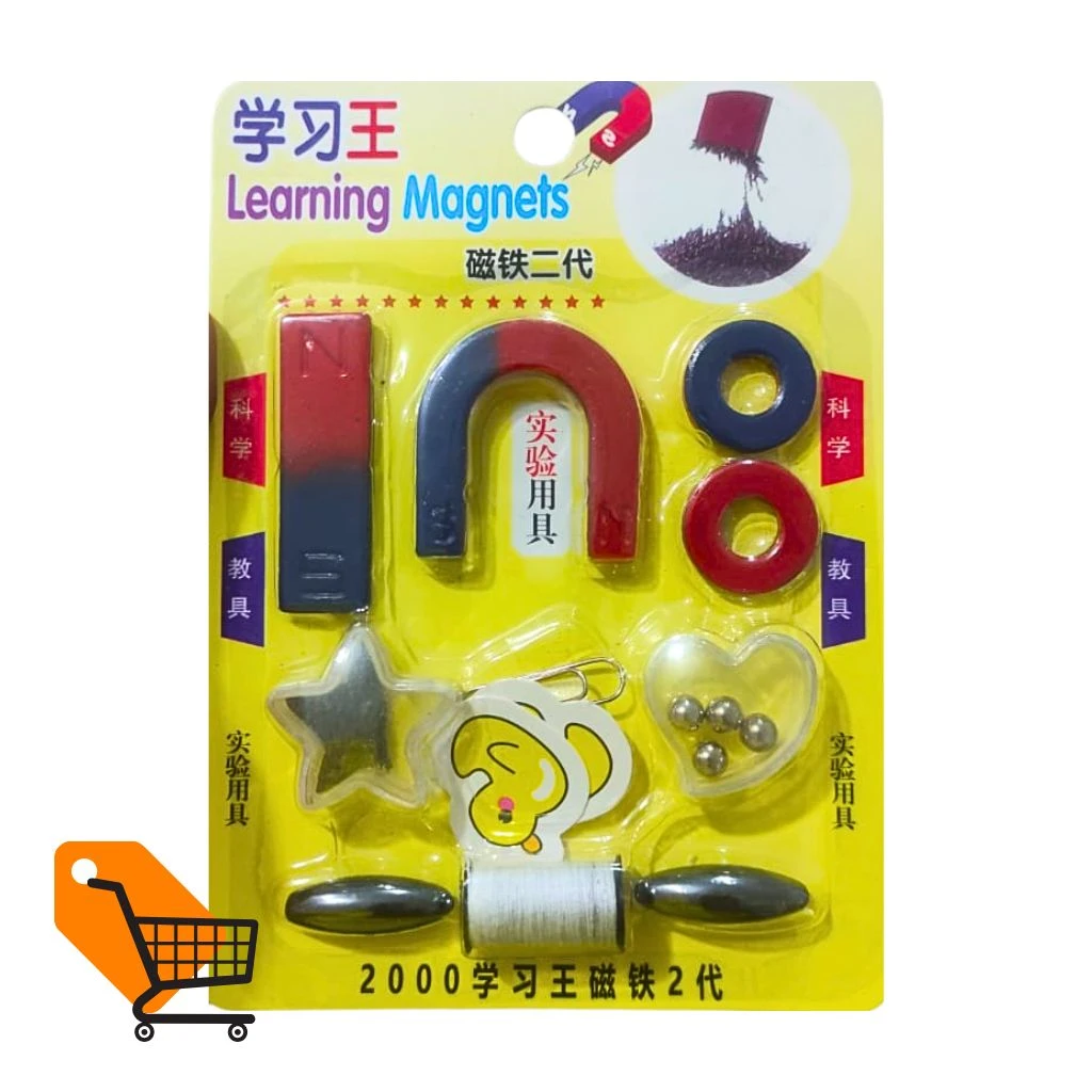 Entertaining Educational Learning Magnet Set For Students